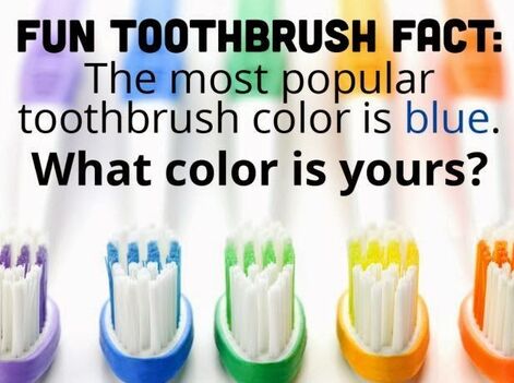 The most popular toothbrush colour is bluePicture