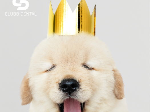 What happens when you get a dental crown?